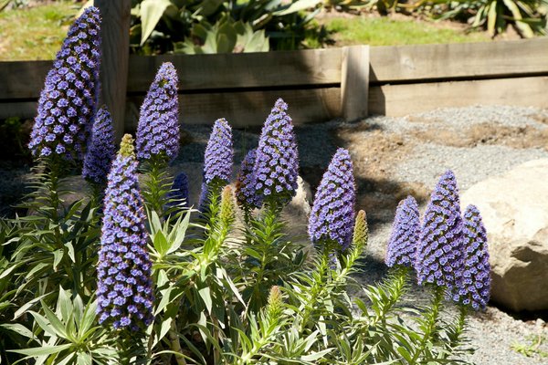 Aspirateurs laveurs : top 10 choix pour briller en 2025