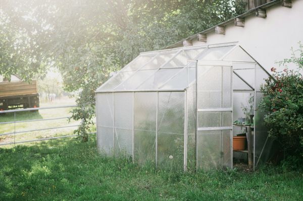 Top critères pour sélectionner une serre ACD pour vos plantes