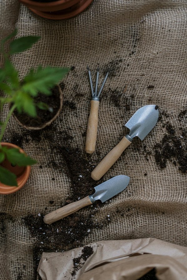Outils de jardinage : guide complet pour bien choisir et entretenir son matériel